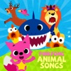 Baby Shark by Pinkfong iTunes Track 1