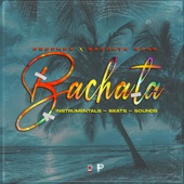 Bachata Lover (Instrumental) artwork