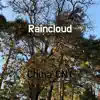 Raincloud - Single album lyrics, reviews, download