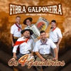 Fibra Galponeira - Single
