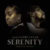 Serenity (feat. E.Lizé) - Single album lyrics, reviews, download