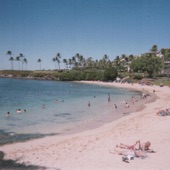 Neko - Hawaii
