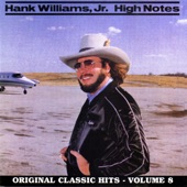 Hank Williams, Jr. - If Heaven Ain't A Lot Like Dixie