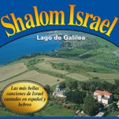 Shalom Israel (Lago de Galilea) artwork