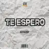 Te Espero - Single album lyrics, reviews, download