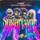 SUGARCANE cover art