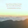 Jesus Christ Is Risen Today Arr. For Cello and Piano - Single album lyrics, reviews, download