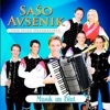 Ansambel Saša Avsenika - Musik im Blut