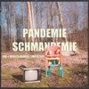 Pandemie Schmandemie - Single
