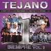 Tejano #1's Siempre, Vol.3