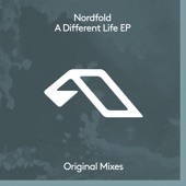 A Different Life (Extended Mix) artwork