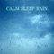 Rain Sounds for Deep Sleep - Rain Studios lyrics