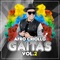 Gaitas Vol. 2 - Afro Criollo lyrics