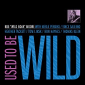 Used to Be Wild (feat. Tom Linsk) artwork
