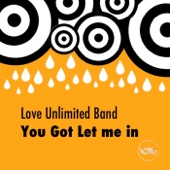 Love Unlimited Band - You Got Let Me In