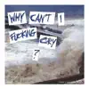 Why Can't I F*****g Cry? song lyrics