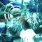 Aquatic Base - Kash Manning lyrics