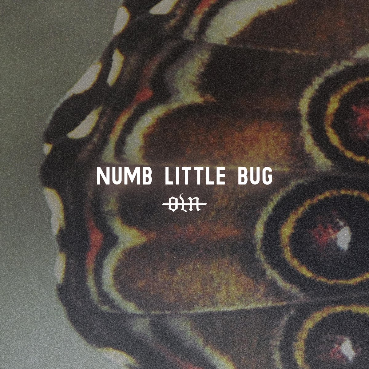 numb-little-bug-single-by-our-last-night-on-apple-music