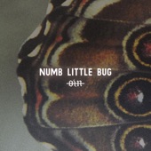 Numb Little Bug artwork