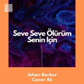Seve Seve Ölürüm (feat. Jehan Barbur) artwork