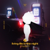 Living Life In the Night - Slowed + Reverb artwork