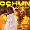 Stream & download Ochun