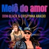 Melô do Amor - Single