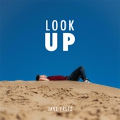 Look Up artwork