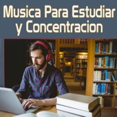 Música para Estudiar y Concentracion artwork