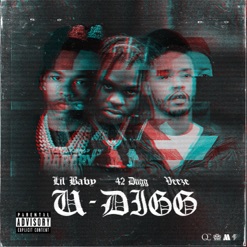 U-DIGG cover art