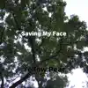 Saving My Face song lyrics