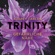 Audrey Carlan - Gefährliche Nähe (Trinity 2)