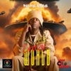 Crazy World - Single
