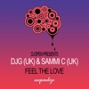 Feel the Love - Single