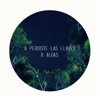 Perdiste las Llaves - Single