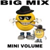 The Big Mix Mini Volume - Single