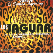 Vuelve El Sonido Agresivo - Los Jaguar De Valle Hermoso