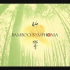 Bamboo Symphonia - Bamboo Beat II
