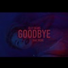 Goodbye (by Music Pink Elephant) [feat. Irene] - Single