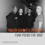 Timuçin Şahin's Flow State - The Sixth Sense of the Platypus