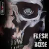 Flesh + Bone album lyrics, reviews, download