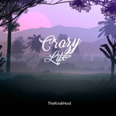 Crazy Life artwork