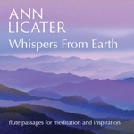Ann Licater - Luminous Morning
