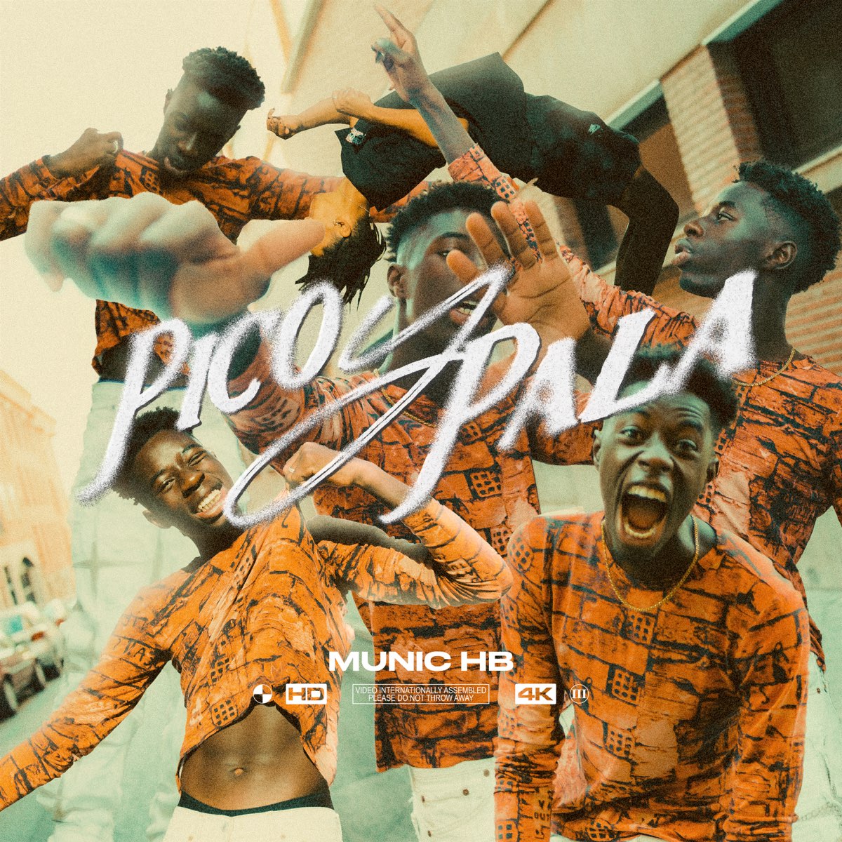 pico-y-pala-single-de-munic-hb-en-apple-music