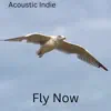 Fly Now - Single album lyrics, reviews, download