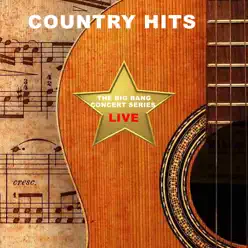 The Big Bang Concert Series: Country Hits Live - Leann Rimes