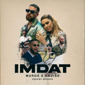 Imdat artwork