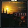 Stream & download Silesia