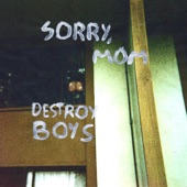 Destroy Boys - I Threw Glass at My Friend's Eyes and Now I'm on Probation