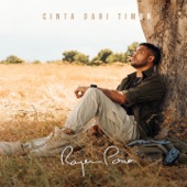 Cinta Dari Timur artwork